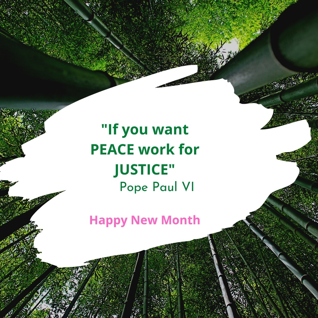 GreenfirmKE's tweet photo. In the pathway to the future we all working towards peace, justice &amp; strengthening our institutions. This month we will highlight businesses and causes with a focus on #sdg16 on peace, justice &amp; strong institutions. What's our contribution to ensuring #peace &amp; #justice? https://t.co/NbQ2lRhnok
