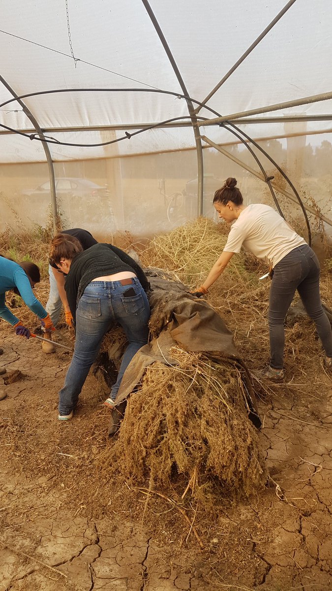 Hubner Lab tweet media