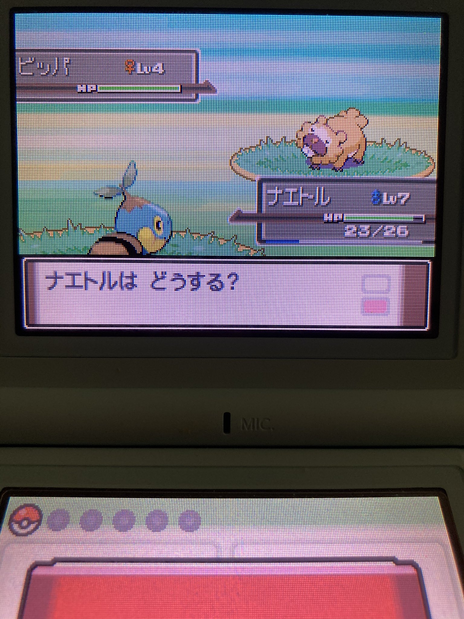 ポケモンpt Twitter Search Twitter