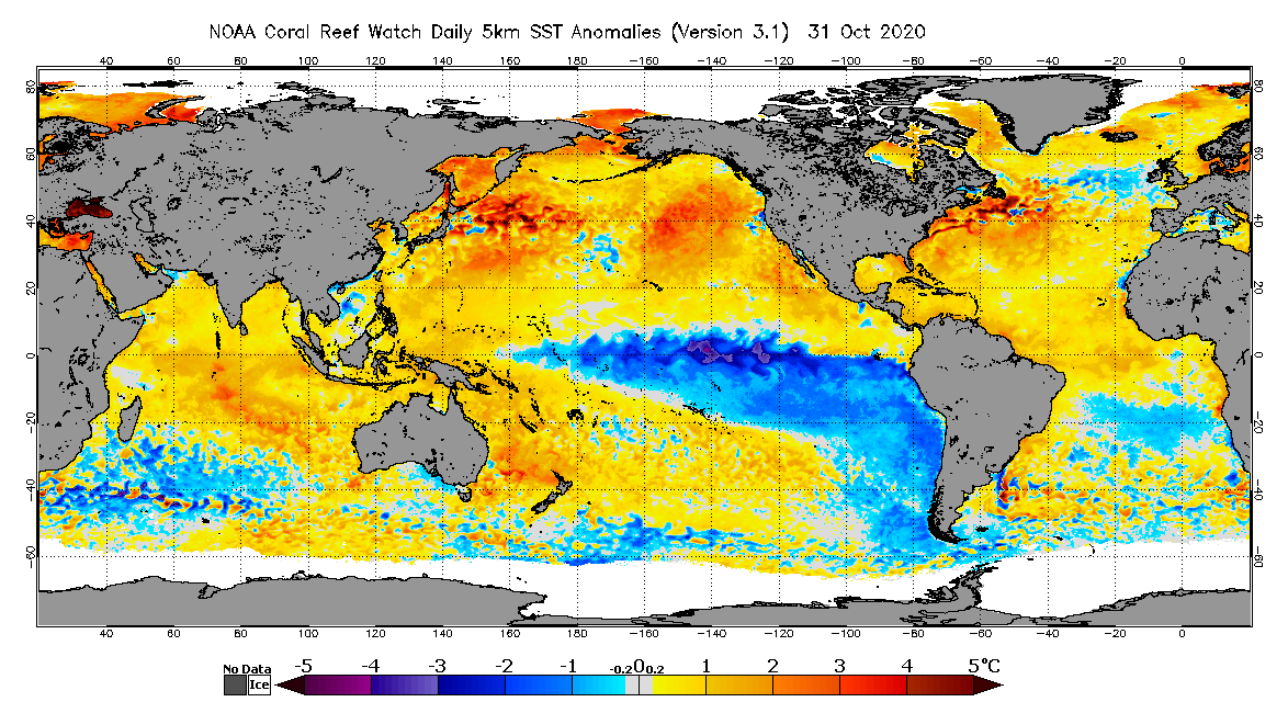 Eric Snodgrass tweet media