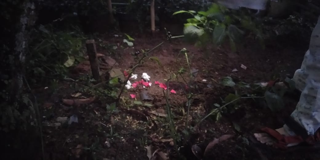 RafireJunior's tweet photo. Terimakasih sudah menemani hari hari yang indahπ
#RipBooboo #CatsOfTwitter #rip https://t.co/LTxHcRoKNr