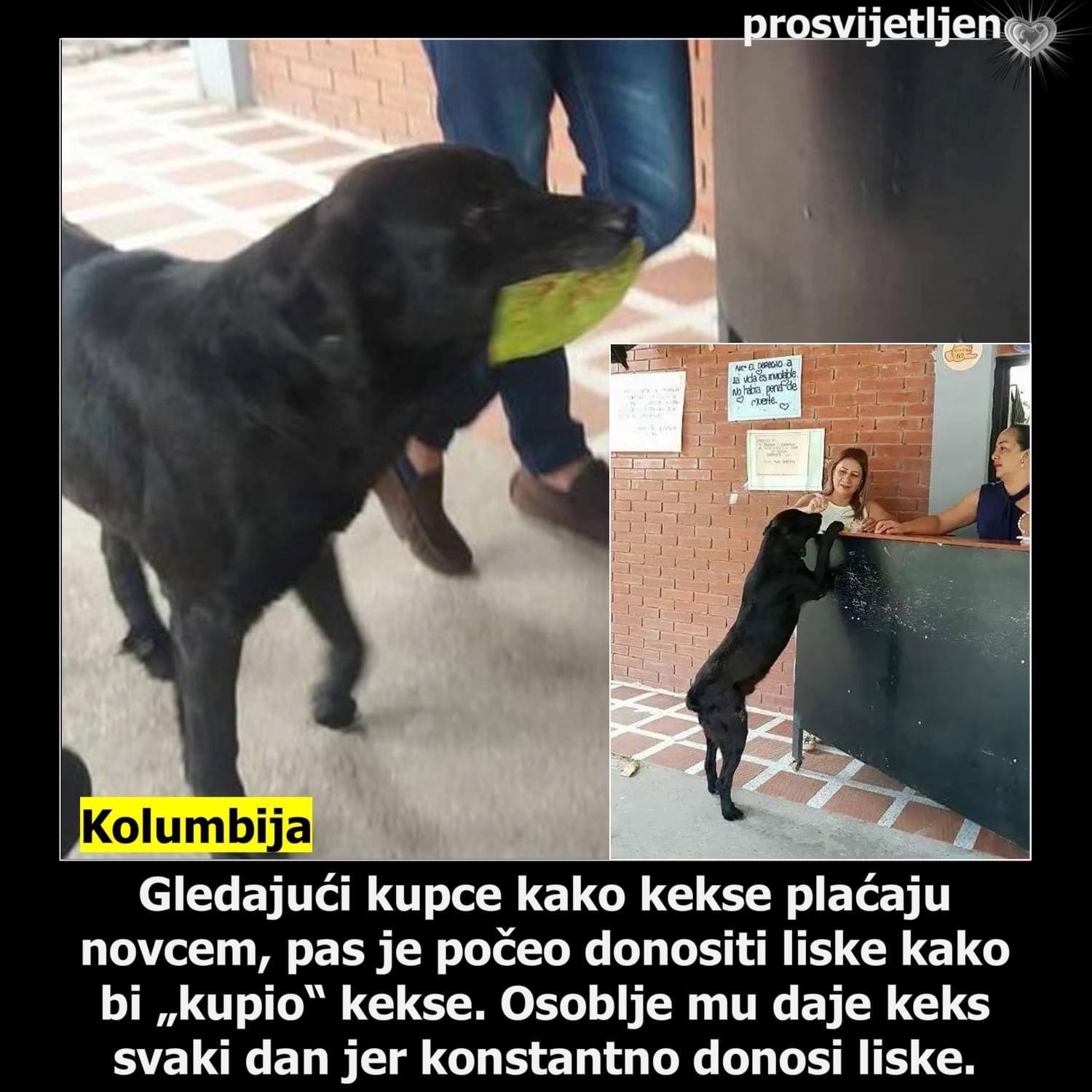 El0ILFqXUAA-ctf?format=jpg&name=large