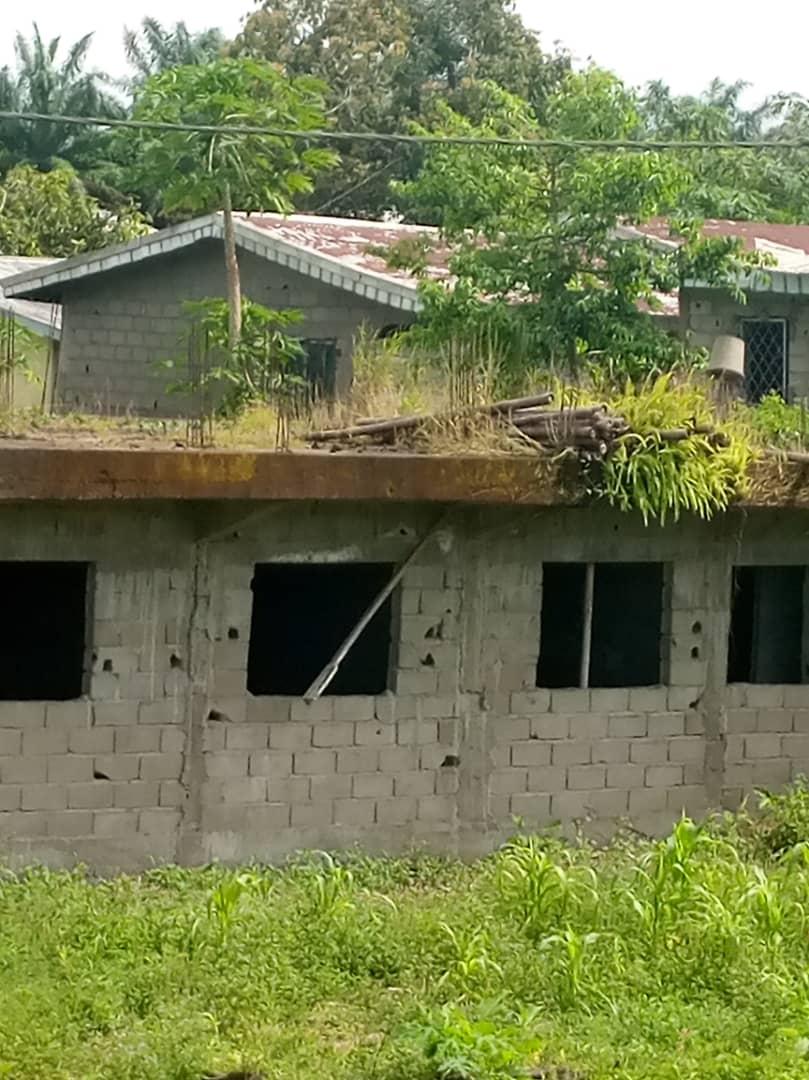 MinouChrystayl's tweet photo. Tjrs sur la route de #mutenguene d maisons criblées de balles abandonnées. Des constructions laissées avec comme propriétaires des herbes. En zoomant sur la dernière photo vous avez l'impact des balles devant la maison et celle en étage.
#EndAnglophoneCrisis
#minouakumba https://t.co/nF2zpHmAa2