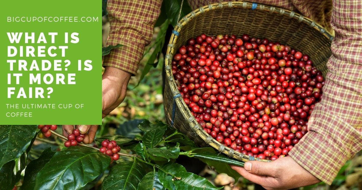 Direct Trade is a new way of trading with growers in developing countries. Fairtrade has brought many advantages, but like any system – it has its flaws. There have been various reports of these problems in the news. snip.ly/2c9xss #ICYMI #coffee