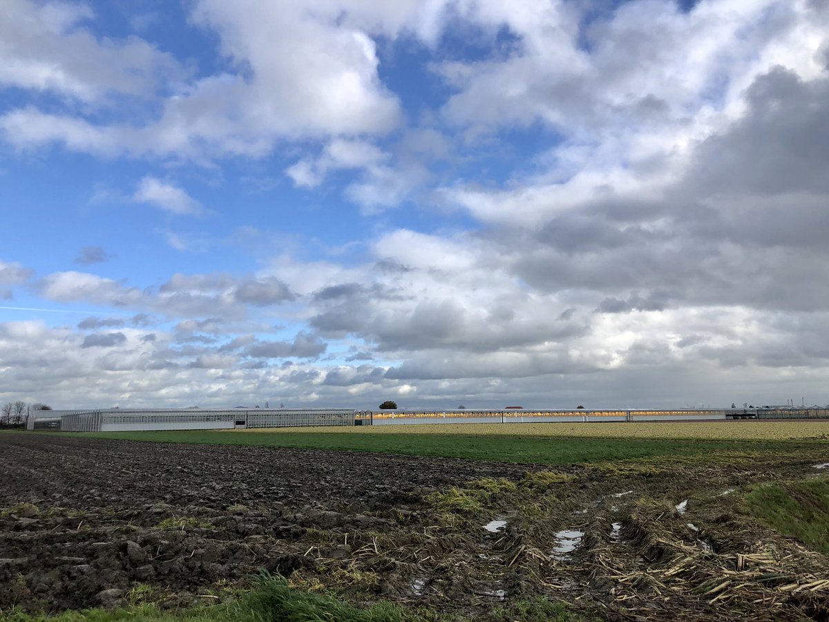 JolandaBakkker's tweet photo. 🌬💨💨💨💨 #warmeWind #wolken @EdAldus @ricoschroder @Alpenweerman @weeronline @mrmiddendorp @ricoschroder @BuienRadarNL @Talpaweer @MarcdeJongRTL @WilliamHuizinga @helgavanleur @janvissersweer @omroepwest https://t.co/0lBDy94ozW