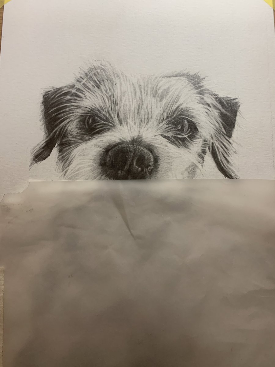 GaddRoz's tweet photo. WIP - look at this little cutie who is appearing and making me smile
#onmyeasel #onmyeaseltoday #onmyeaselrightnow #onmyeaselnow #workinprogressart #workinprogressartwork #artworkoftheday #artwork_portrait #artworkinstudio #artworkbyme #wipart #mywip #inthestudiotoday https://t.co/9gHNJU7TZK