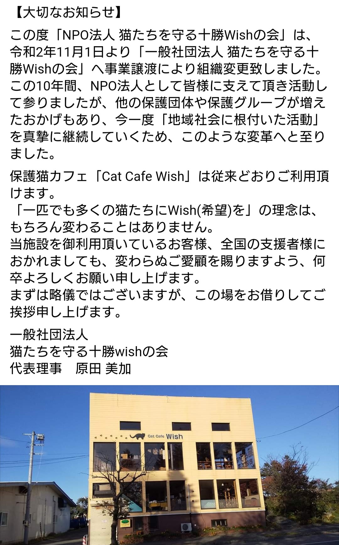 Cat Cafe Wish Catcafewish Twitter