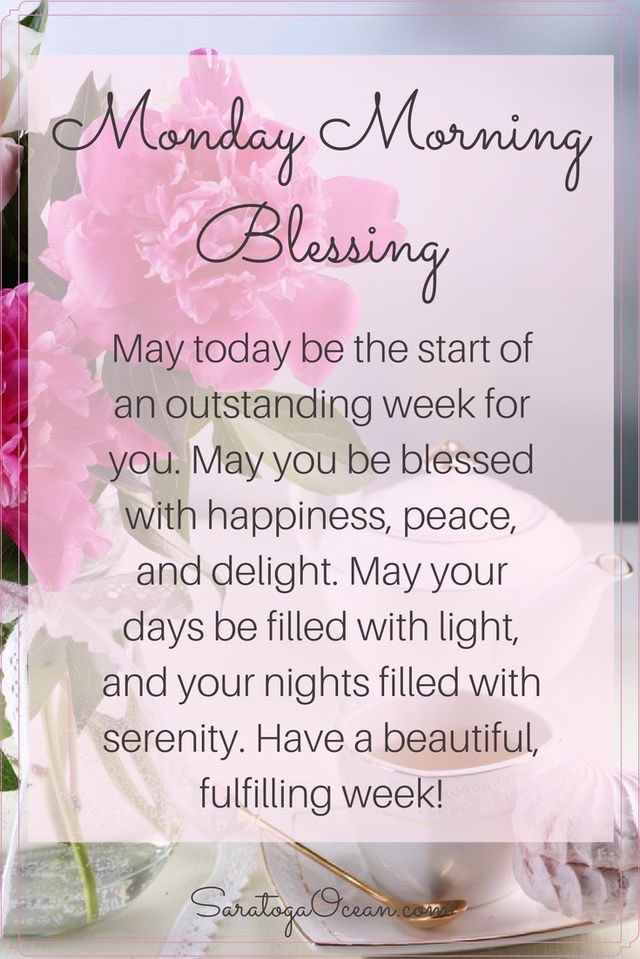 mamaj66's tweet photo. Good morning to you, you and yes you!💜 https://t.co/ogznwV8kv7