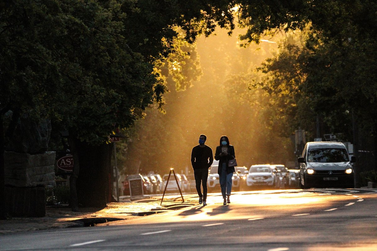 stellenboschnews.com tweet media
