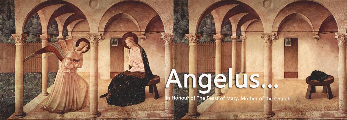 zcu.io/Sc6g 
The Angelus prayer group has been established in Honour of The Feast of Mary, Mother of the Church.  Join us hear daily for prayer.