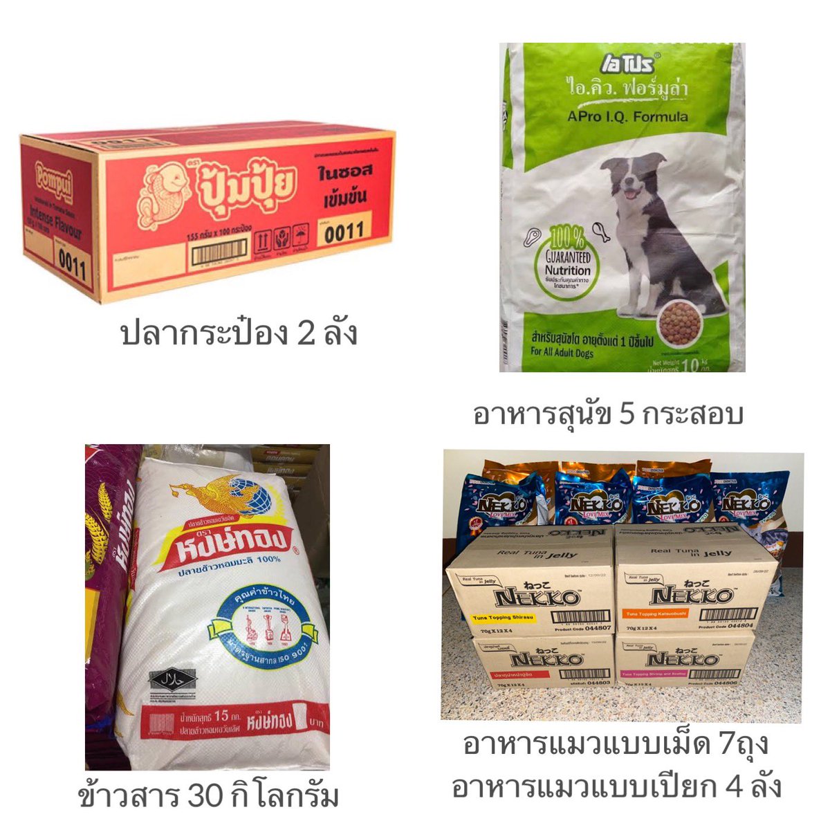 tap2getherTH's tweet photo. เนื่องด้วยวันคล้ายวันเกิดไบร์ทที่จะถึงในวันที่ 27 ธ.ค. 63 นี้ ทางบ้านTap2getherจึงอยากจะขอเป็นส่วนหนึ่งในการสร้างบุญกุศลให้กับน้องและชาวด้อม จึงได้จัดกิจกรรมทำทานให้กับสุนัขและแมวจรจัด ที่บ้านแสงตะวัน จ.นครปฐม ในวันที่ 7 พ.ย. นี้ค่ะ @bbrightvc @Allbrightvc #bbrightvc #ไบร์ทวิน https://t.co/vDFtnkZI5g