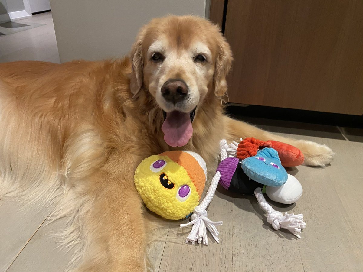 Thinks Wife tweet media