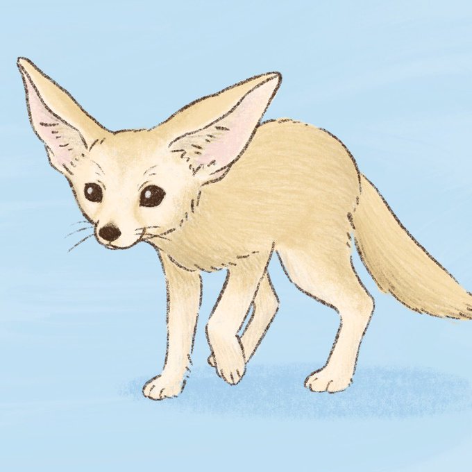 フェネックギツネのtwitterイラスト検索結果 フェネックギツネのtwitterイラスト検索結果