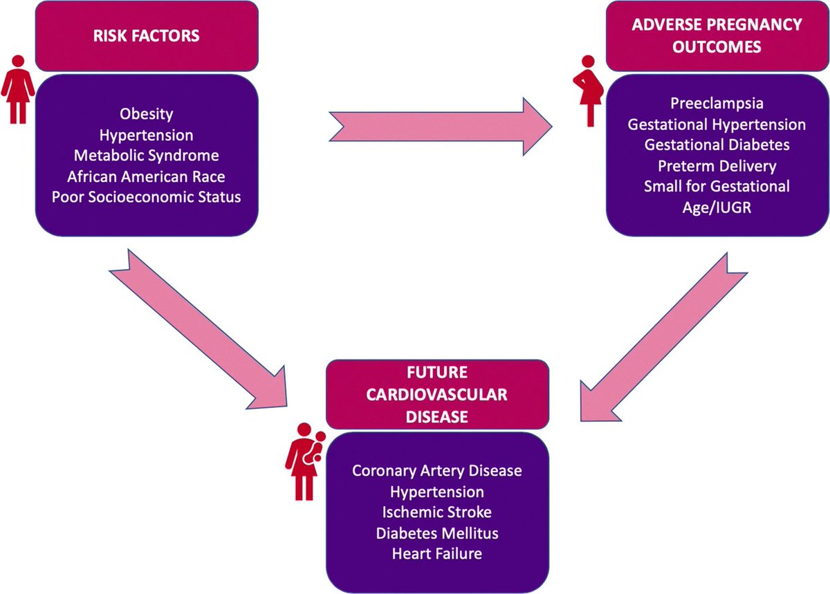 Cardio-Obstetrics (@cardioob) on Twitter photo Association of Adverse Pregnancy Outcomes & CVD:
Current Knowledge & Future Directions
link.springer.com/article/10.100…
#CardioObstetrics <a href="/AllisonGHaysMD/">Allison G. Hays, MD</a> <a href="/DrAnumMinhas/">Anum Minhas</a> <a href="/ErinMichos/">Erin D. Michos, M.D.</a> <a href="/WendyYingMD/">Wendy Ying</a> <a href="/DrChelleMD/">Michelle Ogunwole, MD PhD</a> @JVaughtMD <a href="/rblument1/">Roger Blumenthal</a> <a href="/GarimaVSharmaMD/">Garima Sharma M.D</a> Association of Adverse Pregnancy Outcomes & CVD:
Current Knowledge & Future Directions
link.springer.com/article/10.100…
#CardioObstetrics <a href="/AllisonGHaysMD/">Allison G. Hays, MD</a> <a href="/DrAnumMinhas/">Anum Minhas</a> <a href="/ErinMichos/">Erin D. Michos, M.D.</a> <a href="/WendyYingMD/">Wendy Ying</a> <a href="/DrChelleMD/">Michelle Ogunwole, MD PhD</a> @JVaughtMD <a href="/rblument1/">Roger Blumenthal</a> <a href="/GarimaVSharmaMD/">Garima Sharma M.D</a>