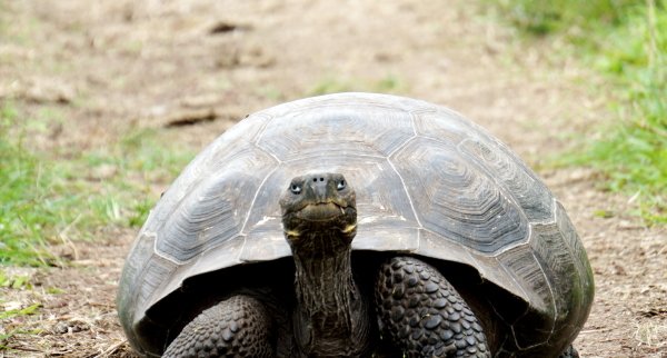 themarkschmidt tweet media