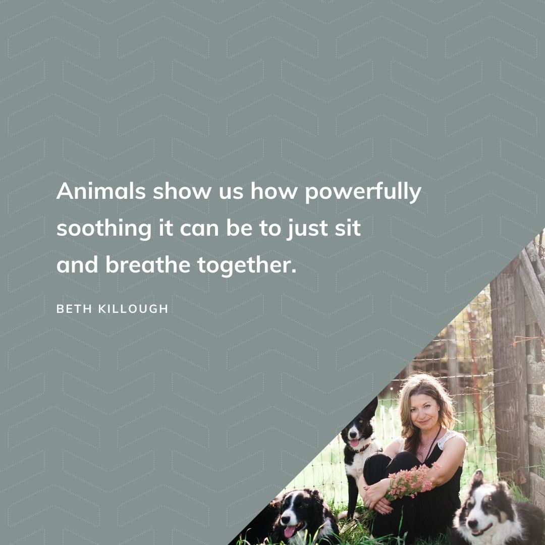 bethAkillough's tweet photo. "Animals show us how powerfully soothing it can be to just sit and breathe together." @FreshDialogues https://t.co/yxAkkjCxwp #leadership #mentalhealth #PTSD #equinetherapy #therapy https://t.co/WP65a7BnKK