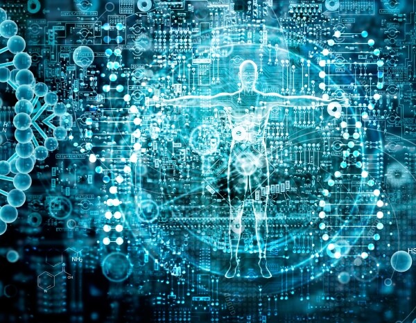 Insomnia Consulting tweet media