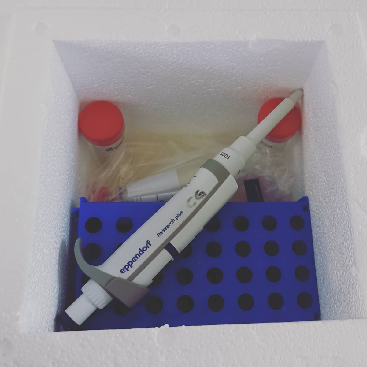 starstem2020's tweet photo. WORK AT HOME STARTER PACK
~
New frontiers of smart working.
#starstemESR #cellbiologist

📷 https://t.co/X50SJQRwMo https://t.co/MjXDLT09YP