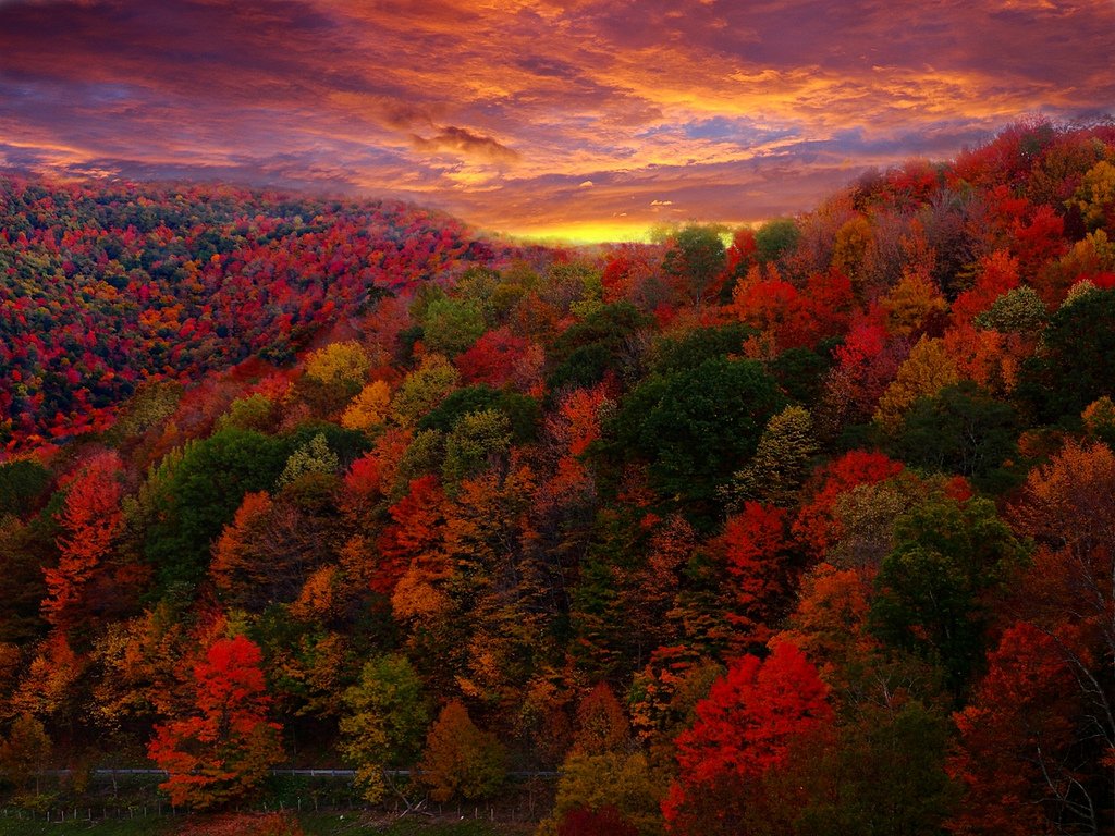 torarelaxtime's tweet photo. Good night everyone🍁
Have a wonderful day. See you tomorrow.
#GoodNightTwitterWorld #GoodNightEveryone #sunsetphotography #NaturePhotography #naturelovers #SeeYouLater #autumnfalls #AutumnHope #autumnleaves #autumnlandscapes https://t.co/TqaZRg9YTJ
