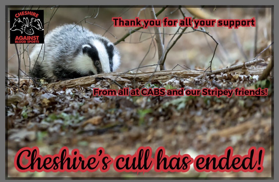 Thank you for all your support #badgers #stopthecull