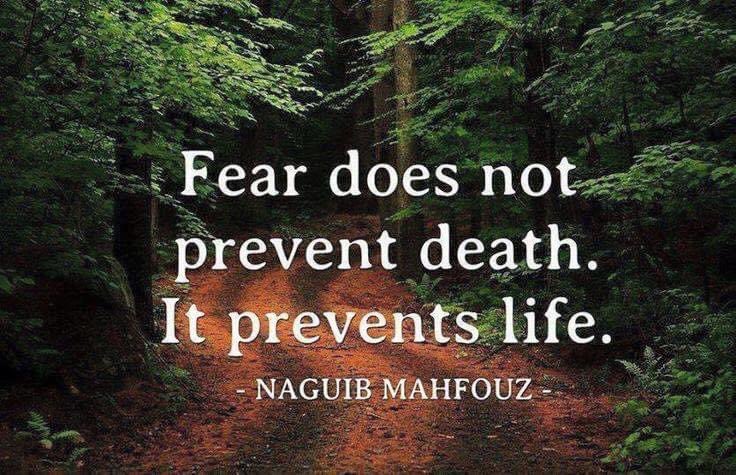 “Fear does not prevent death.  It prevents life.” Naguib Mahfouz

#fear #death #prevents #patientsfirst #patientengagement #patientadvocate #affinitypatientadvocacy
