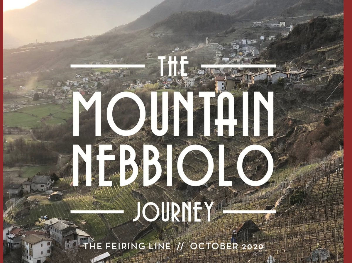 alicefeiring tweet media