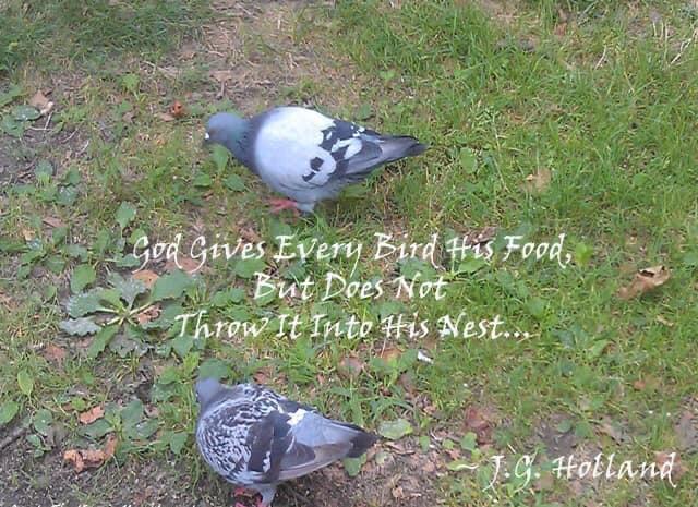 MajorWaheed's tweet photo. #God gives every bird his #food but doesn't throw it in his #nest keep chasing your #dreams one fine day you will see them #ComingTrue #NeverGiveUp #struggle #mindfulness #JoyTrain #SuccessTRAIN #successmantra #MondayWisdom
@KariJoys @gary_hensel @Sunita_Says_ @ahmednkhan
🌴🥀🌴 https://t.co/PJzgvhDLUx
