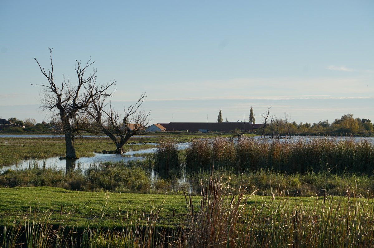 Travessy2's tweet photo. A part of Hortobágy.

#Hungary #NaturePhotography https://t.co/zNg8mMtqCH