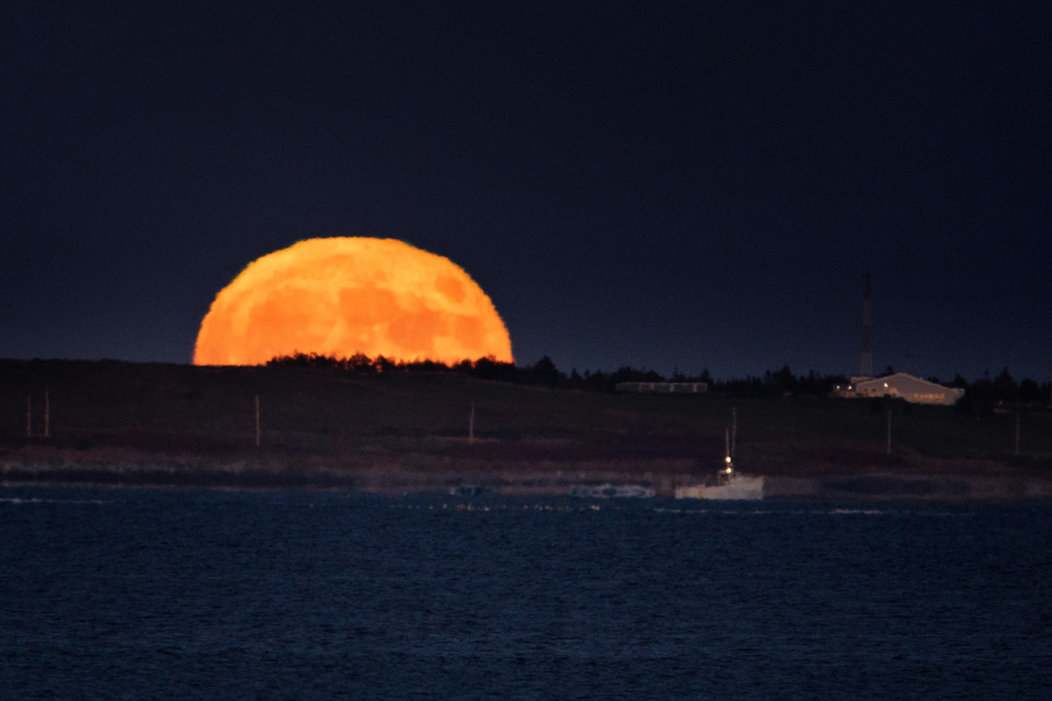 GeekBoy100's tweet photo. Full moon rising.  This was a special full-moon.  Not only was it a blue moon (second full moon in a month) but it was the first time since 1944 that the full moon was visible all over the world on Halloween night! #visitnovascotia https://t.co/ks07feds3Y