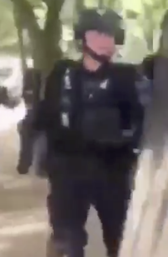 On y voit un policier donner des coups de genou au visage d'une personne interpellée. Sur la vidéo que j'ai pu consulter entièrement on retrouve que c'est le même policier qui a interpellé Farida. 11 CI 322 ULI2R même voix même visage etc etc