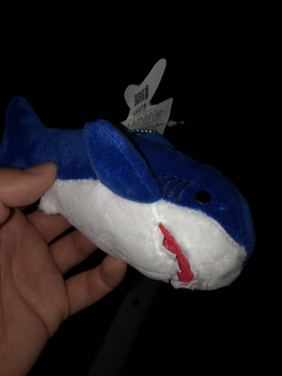 レスキュー失敗。
そんなに奥にいるなんて聞いてない。笑