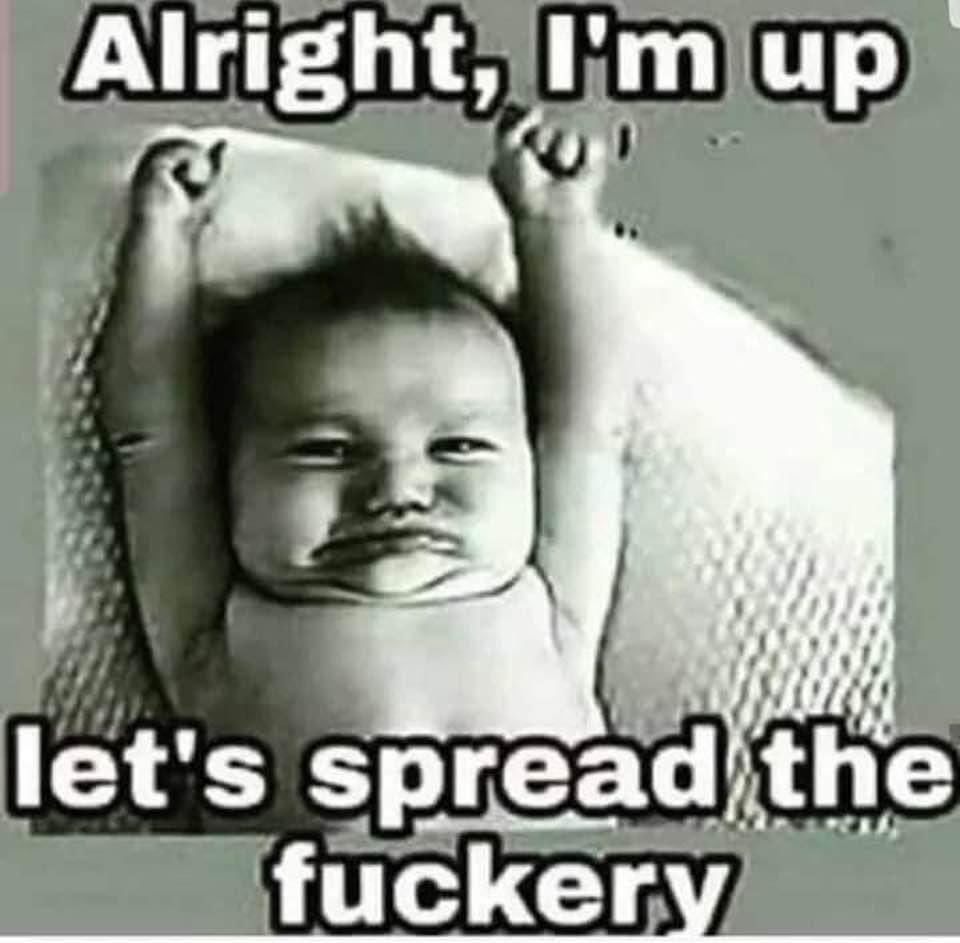 Notchyo's tweet image. Good MORNING