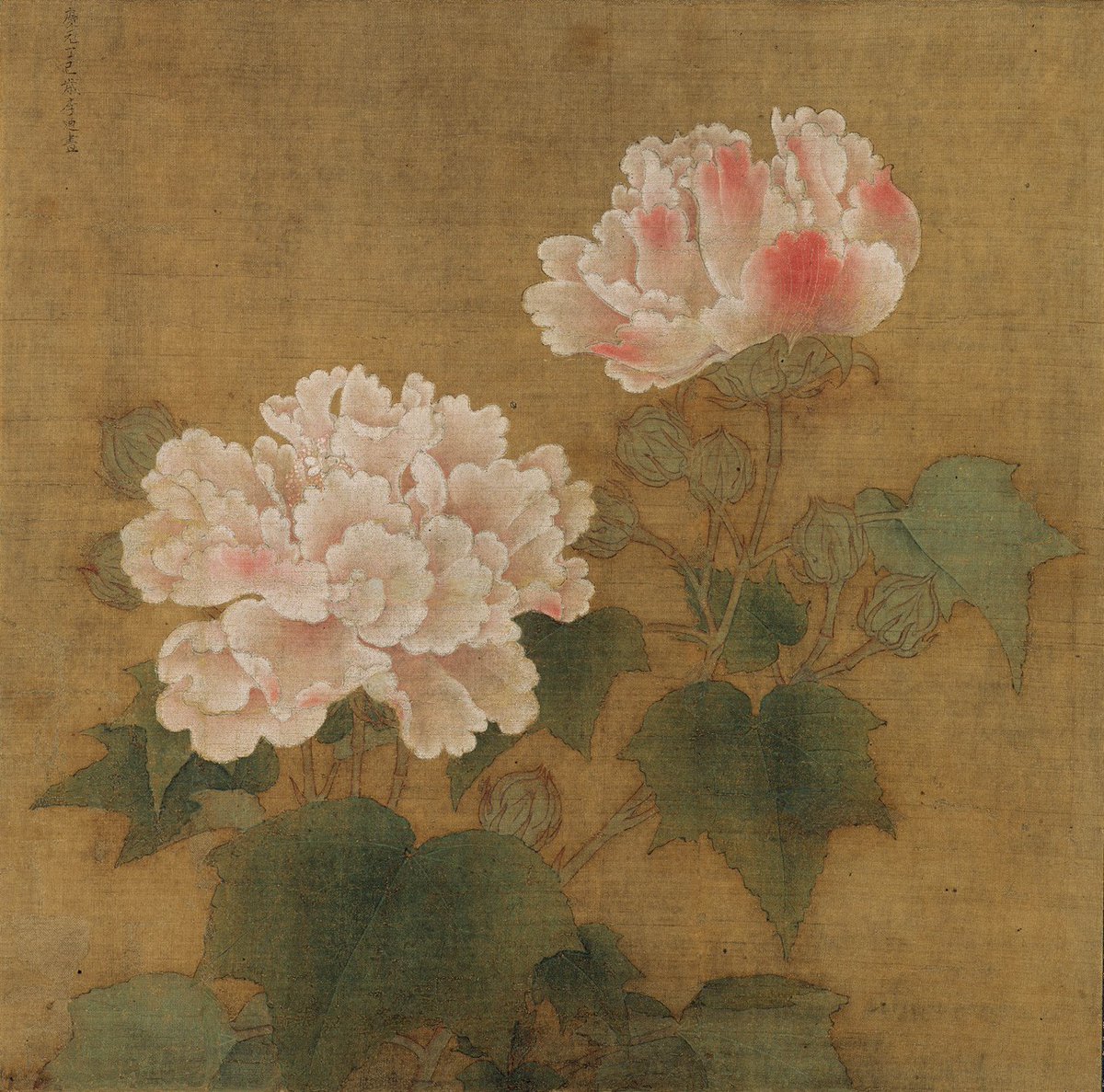 B品セール ボタニカルアート 植物画 枇杷 原画 一点物 中山明子 - 通販