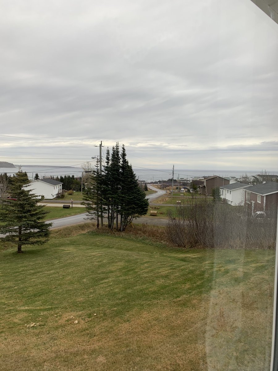 Labradorproud's tweet photo. No sun but still a lovely morning. Swell on Crow Head so there’s wind somewhere #LargeLabradorDay https://t.co/WtqavbYCAS