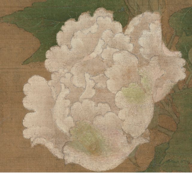 ボタニカルアート 植物画 枇杷 原画 一点物 中山明子 侵攻