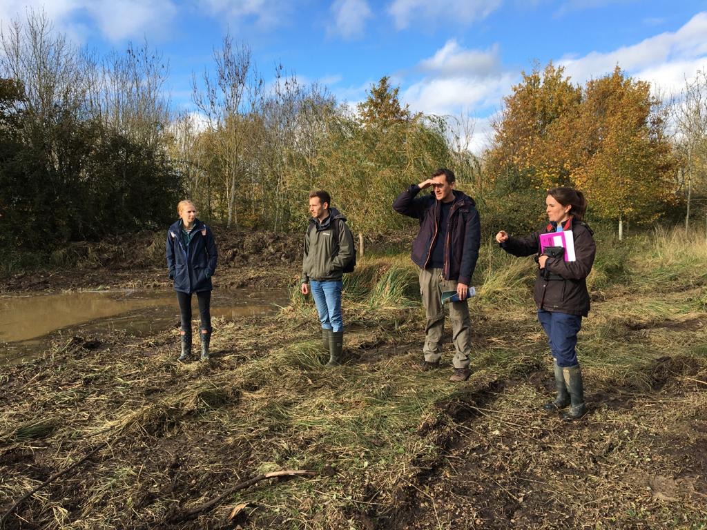 NewtPartnership's tweet photo. We were recently joined by Great Crested Newt Officers from @WhiteHorseDC @SouthOxon @BucksCouncil
@letstalkcentral and @BedfordTweets to see these new clean water ponds at #BicesterGarrison, funded by the @NatureSpaceDL scheme. This #greatcrestednewt made an appearance too! https://t.co/eFxGumTLiq