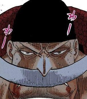 Oda keeps doing these little panels to SHOW us that the stab THROUGH HIS HEART and his worsening condition aren't just nothing.He obviously struggles a lot with it.