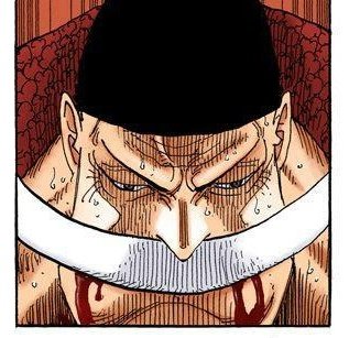 Oda keeps doing these little panels to SHOW us that the stab THROUGH HIS HEART and his worsening condition aren't just nothing.He obviously struggles a lot with it.