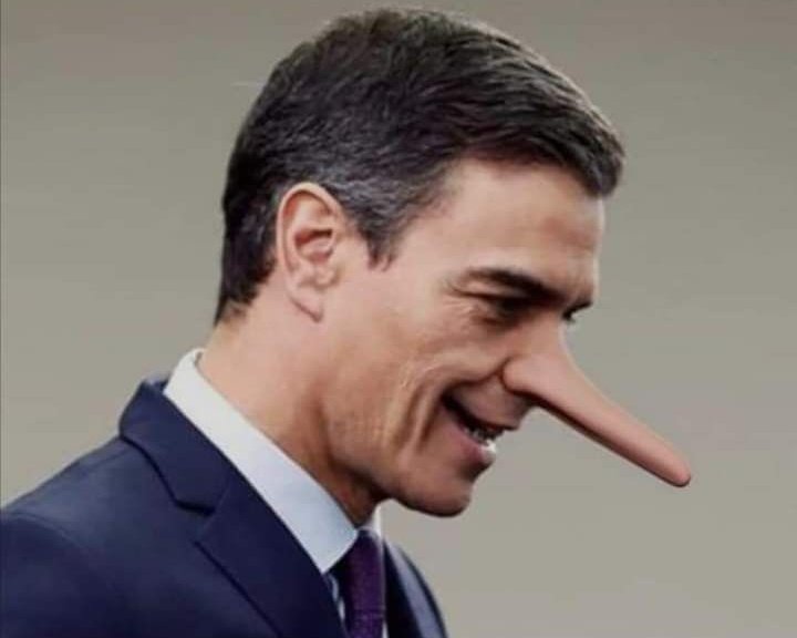 natadevesa's tweet image. Te voy a retwittear cada día hasta que salgas de Monclo@ y de nuestras vidas

Se te recordará, a lo largo de la historia, por hacer una exhumación y enterrar a miles

#ElPeorPresidenteDelGobiernoDeLaHistoria