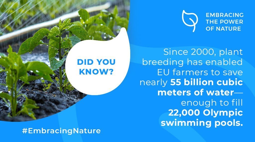 EuroseedsEU's tweet photo. Fact: #Plantbreeding enables a careful management of resources. 💦🚰
Now it's your turn, #ShareWithUs ✍️💬 a fact about plant breeding.
#EmbracingNature #FascinatedWithScience
👉https://t.co/JcQvcVTagB https://t.co/gppqqPH9U5