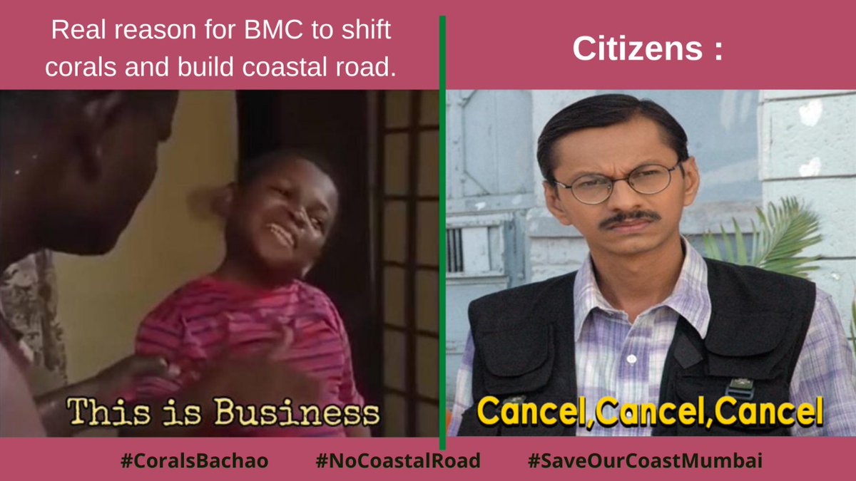 #coralsbachao #nocoastalroad