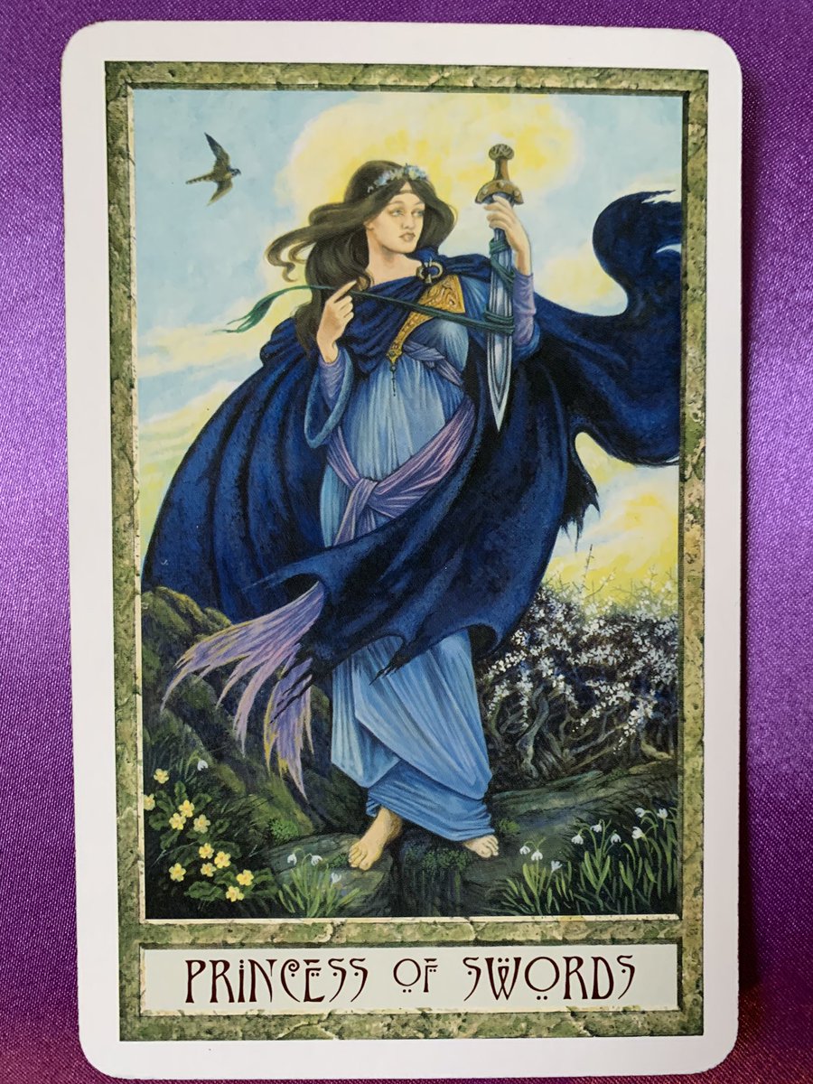 ElevatedBliss's tweet photo. Monday Vibes:
Viewing the world from the observation deck provides objectivity, clarity, and discrimination, but it can also prevent one from fully experiencing depth &amp; passion. Be aware when detachment is actually beneficial.
#princessofswords #tarotinsights #druidcrafttarot https://t.co/XPdaldttG1