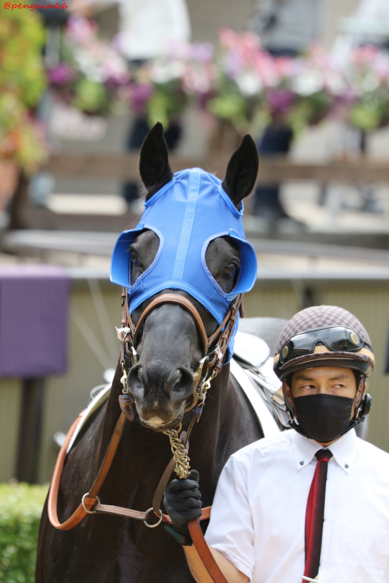 ぺんぎんさん Pa Twitter 1024東京8r 3歳上2勝クラス 4ブーザー マンハッタンカフェの息子さん お母さんは マンドゥラさんです 堀宣行 厩舎 馬主 金子真人ホールディングス株式会社 生産者 ノーザンファーム ブーザー 競馬 T Co U9n7sbh73a Twitter