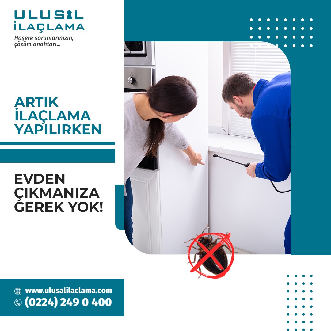 ARTIK İLAÇLAMA YAPILIRKEN EVDEN ÇIKMANIZA GEREK YOK!
İlaçlamanız yapılırken ailenize vakit ayırabilirsiniz... ☎ 0224 249 0 400
🌐 ulusalilaclama.com
.
#ulusalilaçlama #ilaçlama #bursa #bursailaçlama #ev #evilaçlama #profesyonel #hizmet #haşere #böcek #fare #ilaçlamafirması