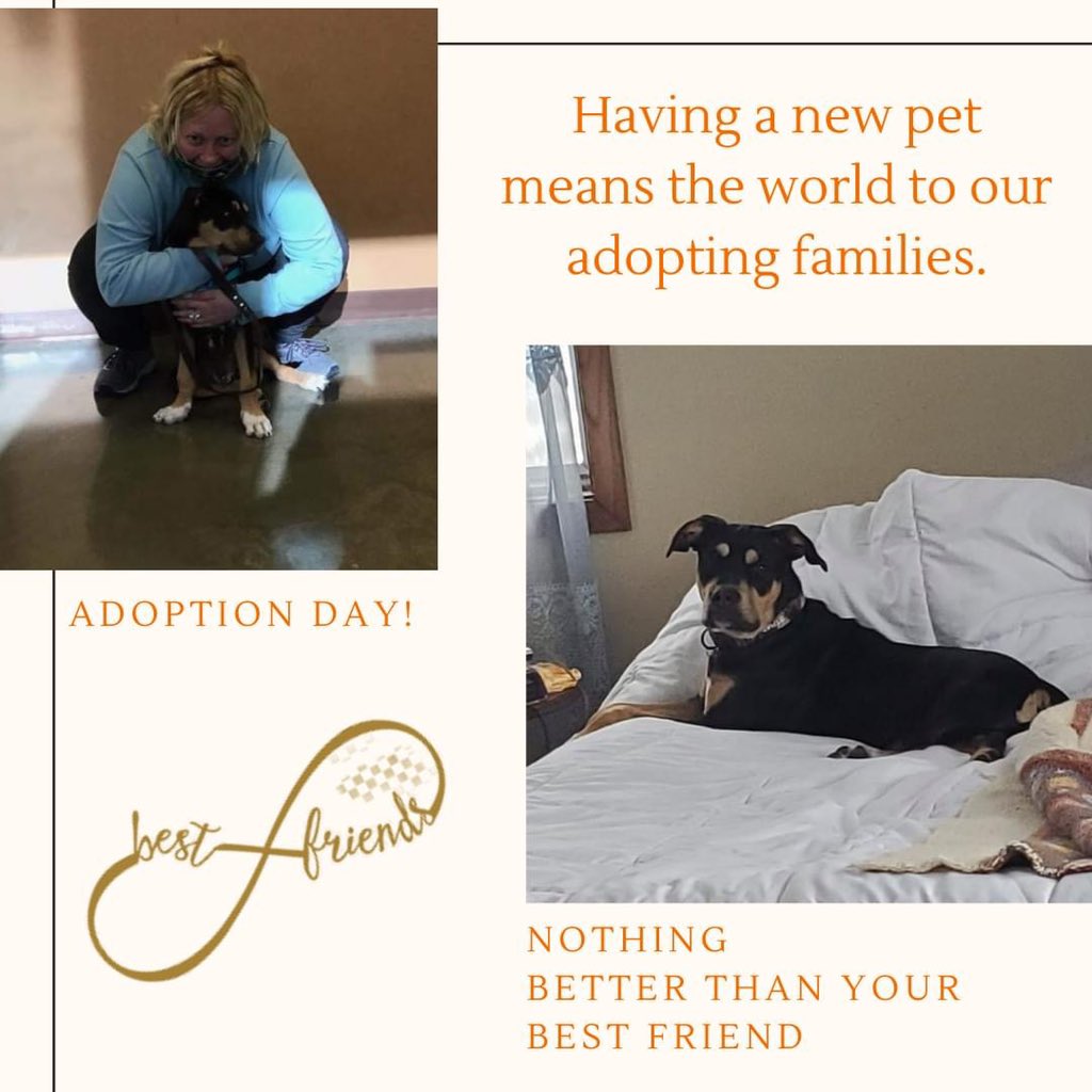 Peter was adopted &amp; returned 3x. Sarah met him &amp; fell in love. Sarah now has COVID, &amp; Cooper(akaPeter) never leaves her side, "He knows that I am sick!" Truly Sarah's best friend. #GivetotheMaxDay gratitude. Having a new pet means the world to our adopting families. #benchs2020