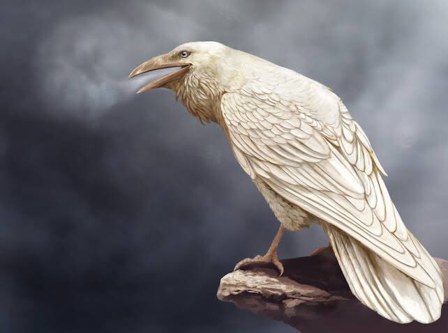 whitecolorcrowさんのイラストまとめ 3ページ目