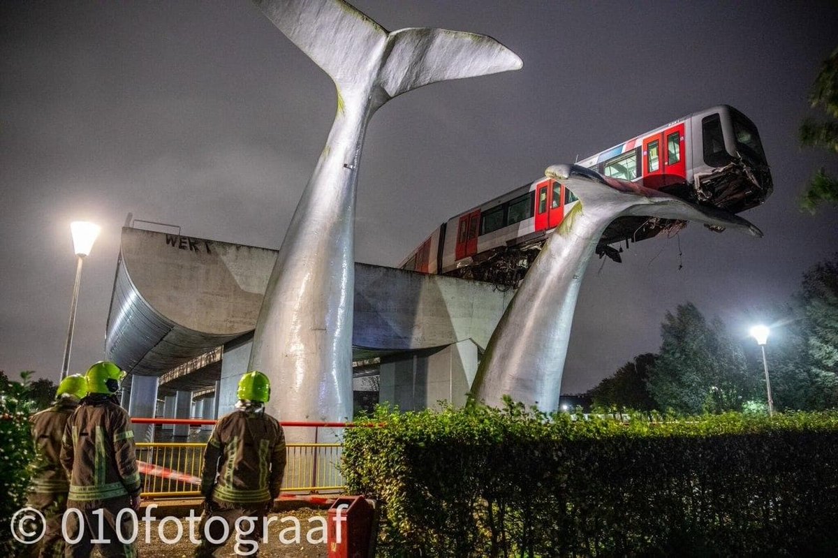 RebeccaRambar's tweet photo. Pays-Bas : Un métro a déraillé a Rotterdam et terminé sa course perché sur la queue d'une baleine.
Le mammifère marin est en réalité une oeuvre d'art qui a évité la chute de la rame, ce qui qui aurait pu occasionner des blessures aux passager. https://t.co/52XYpB3f0A