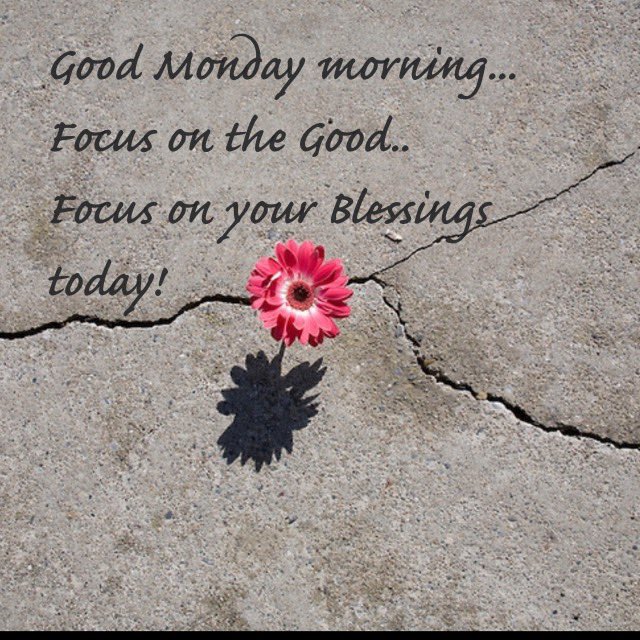 Stancov's tweet photo. Good Morning.  #GratefulMonday https://t.co/WvpyvLONuJ