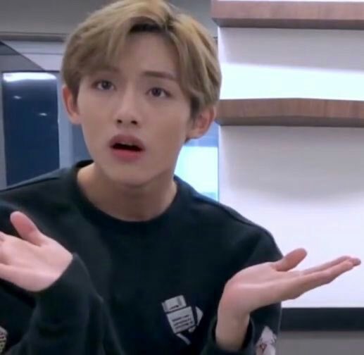 NCT & WayV memes. A thread ctto 