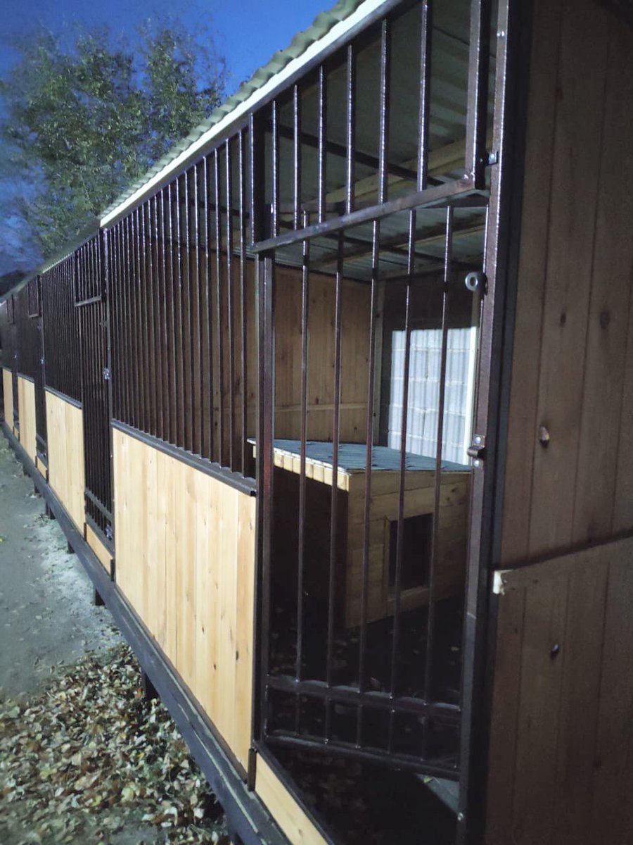 abcpets_kz's tweet photo. New kennels in Nur-Sultan pethotel https://t.co/a8A5jM6s0U